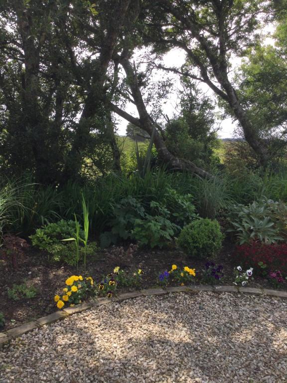 Tullybeggs B&B room 1