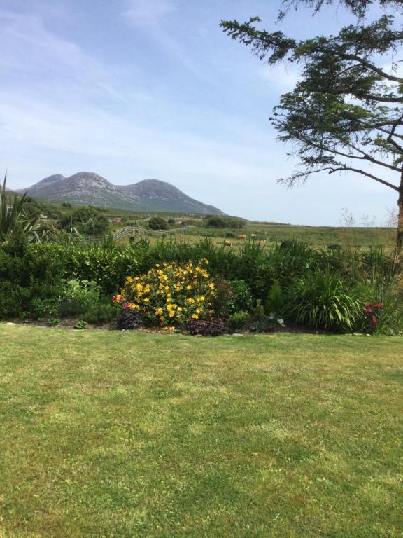 Tullybeggs B&B room 5